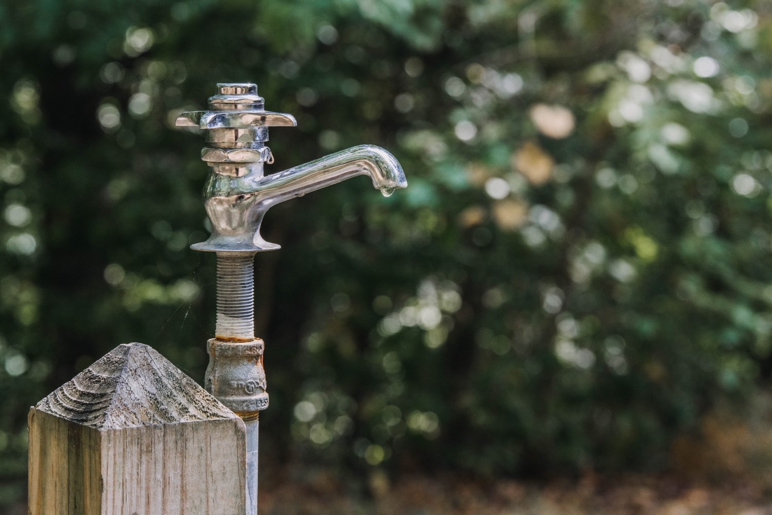 Water heater and plumbing fixtures